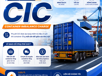 Phụ Phí CIC Là Gì Trong Xuất Nhập Khẩu: Bản Chất, Cách Tính Thuế Và Những Lưu Ý Quan Trọng