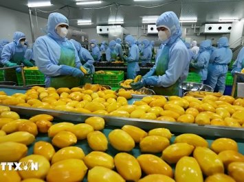 Việt Nam hướng tới mục tiêu xuất khẩu rau quả đạt 8 tỷ đô la vào năm 2025