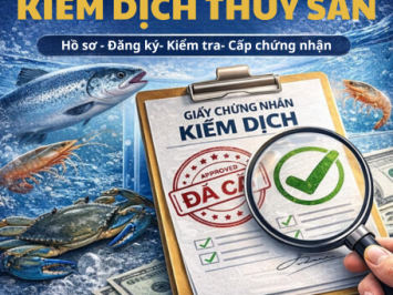 THỦ TỤC KIỂM DỊCH THỦY SẢN NHẬP KHẨU – DOANH NGHIỆP CẦN BIẾT TRƯỚC KHI HÀNG VỀ CẢNG