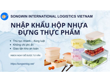 Procedures for Importing Plastic Food Containers (Updated 2025)