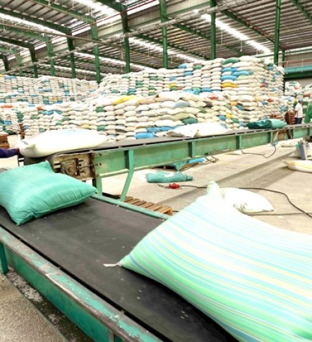 Việt Nam rice industry’s sustainable development over the decades