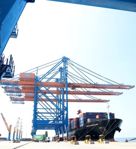 US farm produce to Việt Nam will rise with import tariff cut