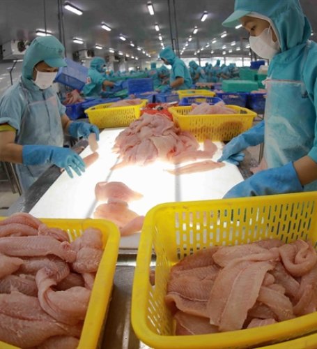 Brazil becoming key market for Việt Nam's seafood