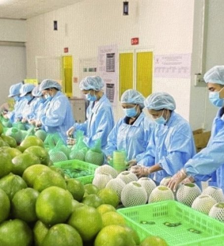 Agro-forestry-fishery trade surplus $5.2 billion in four months