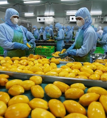 Exporters cautiously optimistic, prepare for US tariff impacts