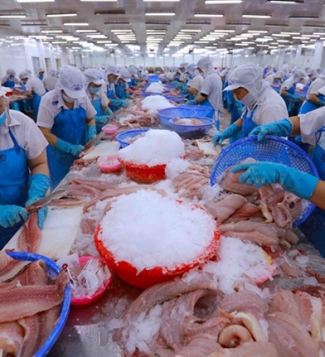 Vn’s fishery sector diversifies export markets and products amid global trade challenges