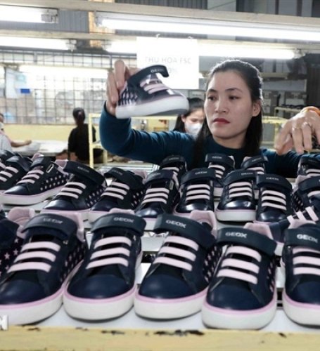 Việt Nam – US economic ties thrive as bilateral relations enter new chapter