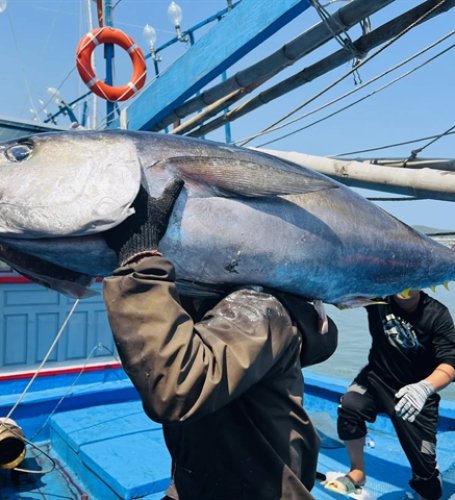 VASEP: global tuna market enters period of major transformation