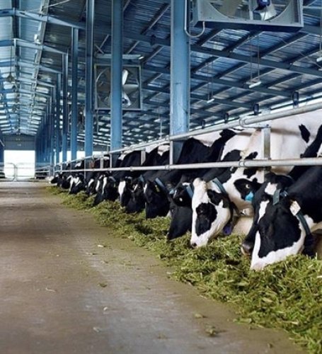China adjusts import procedures for dairy products
