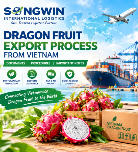 DRAGON FRUIT EXPORT PROCESS FROM VIETNAM: DOCUMENTS, PROCEDURES AND IMPORTANT NOTES