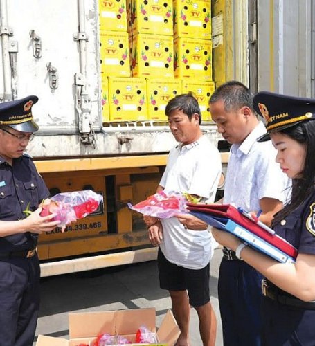 Customs quickly streamlines the apparatus, promotes customs clearance of goods