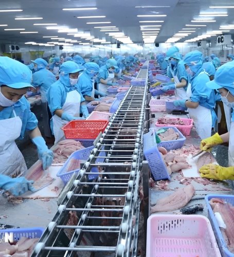 Vietnam has a trade surplus of 24.31 billion USD, seven export items over 10 billion USD 