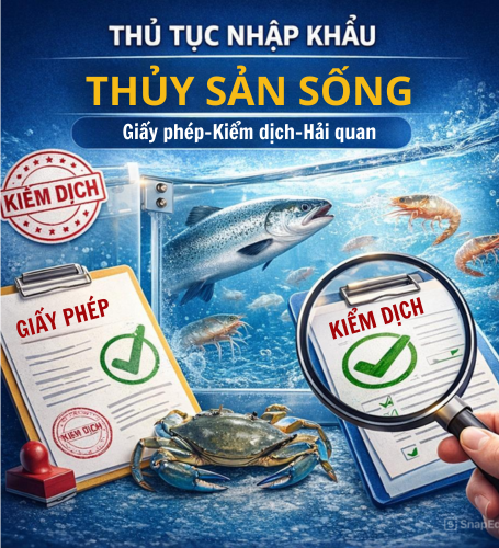 PROCEDURES FOR IMPORTING LIVE SEAFOOD INTO VIETNAM – A DETAILED GUIDE FOR BUSINESSES