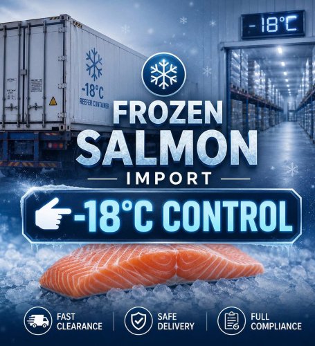 Frozen Salmon Import Procedures: Standard Process and Key Considerations